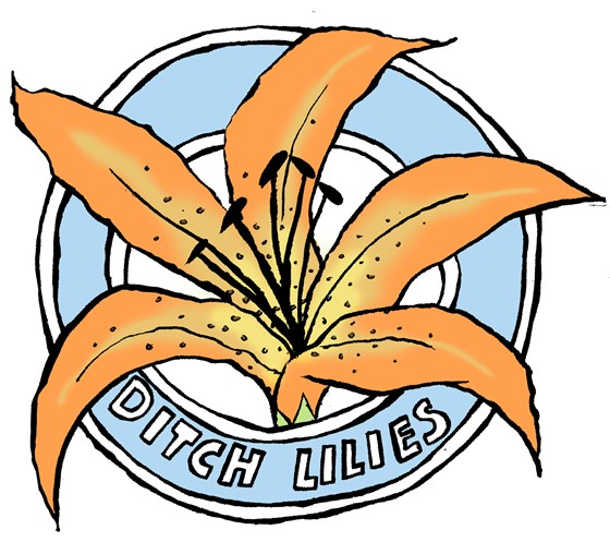 Examples: Leslie Anderson Online Portfolio